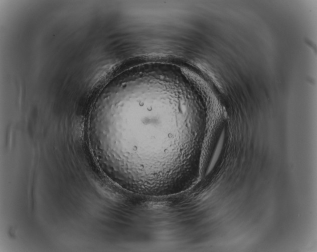 X0000091700495200708311056