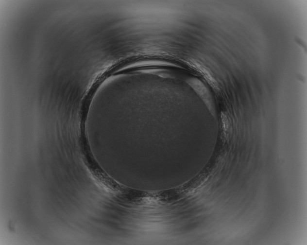 X0000091700496200708311056