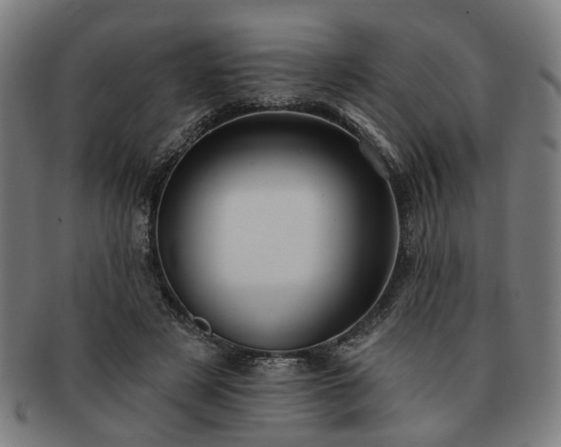 X0000091700497200708311056