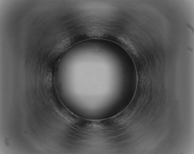 X0000091700498200708311056