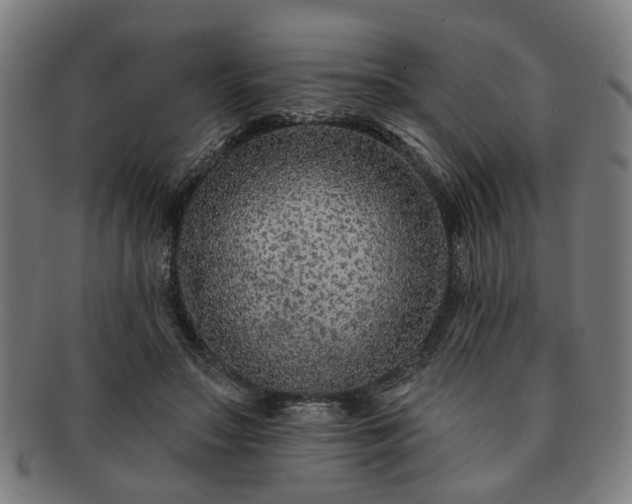 X0000091700499200708311056