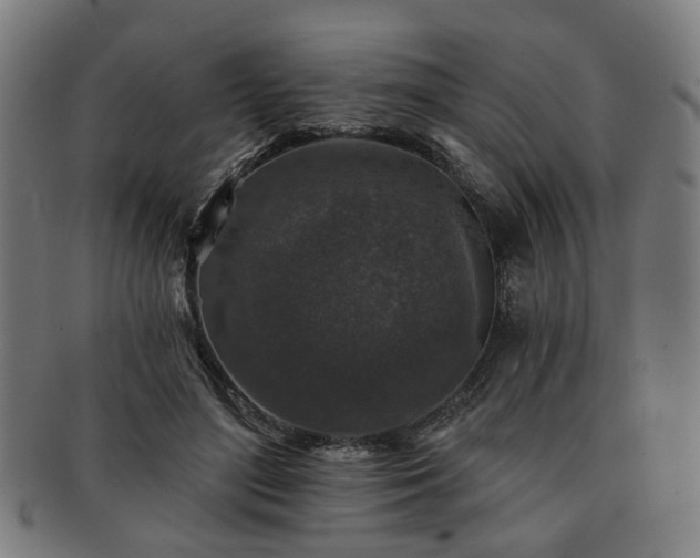 X0000091700500200708311056