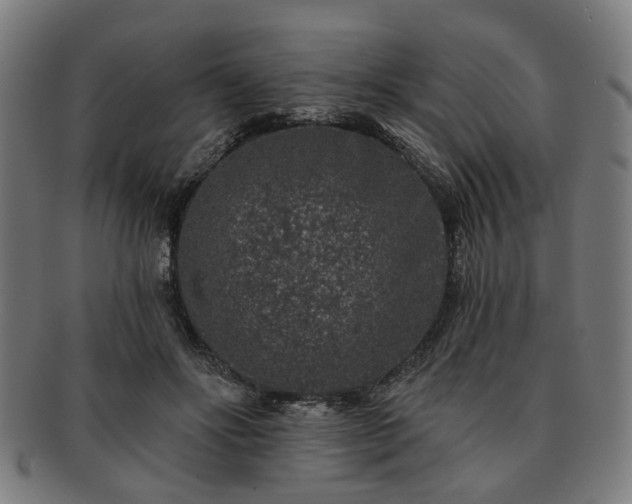 X0000091700502200708311056