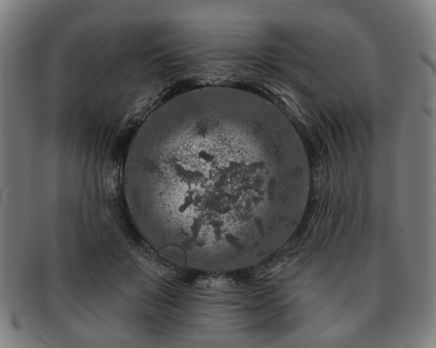 X0000091700503200708311056