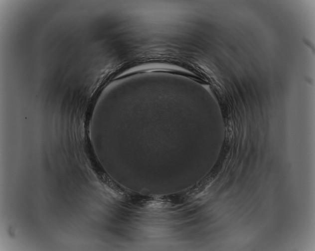 X0000091700504200708311056