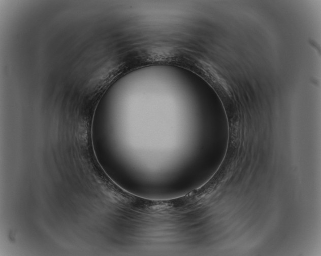 X0000091700505200708311056
