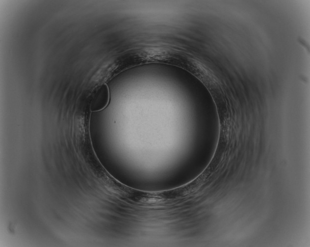 X0000091700506200708311056