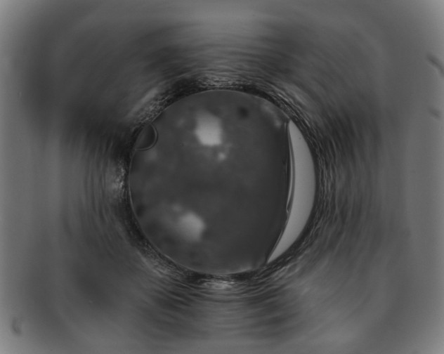X0000091700507200708311056