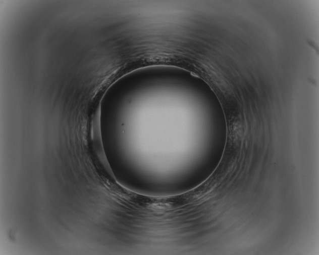 X0000091700508200708311056