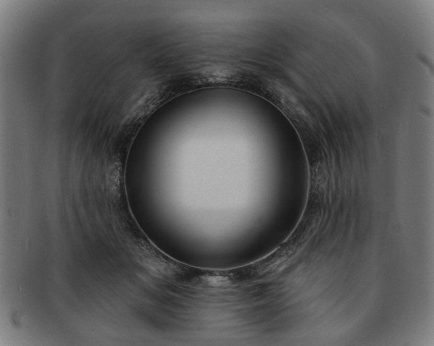 X0000091700509200708311056