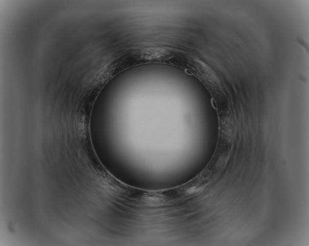 X0000091700510200708311056