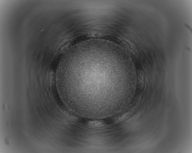 X0000091700511200708311056