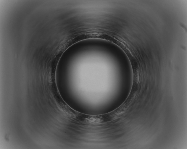 X0000091700512200708311056