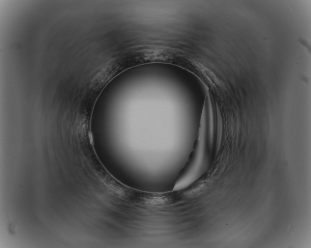 X0000091700513200708311056