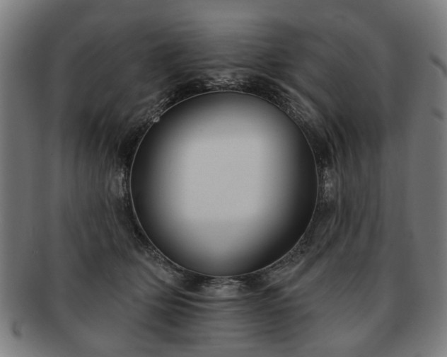 X0000091700514200708311056