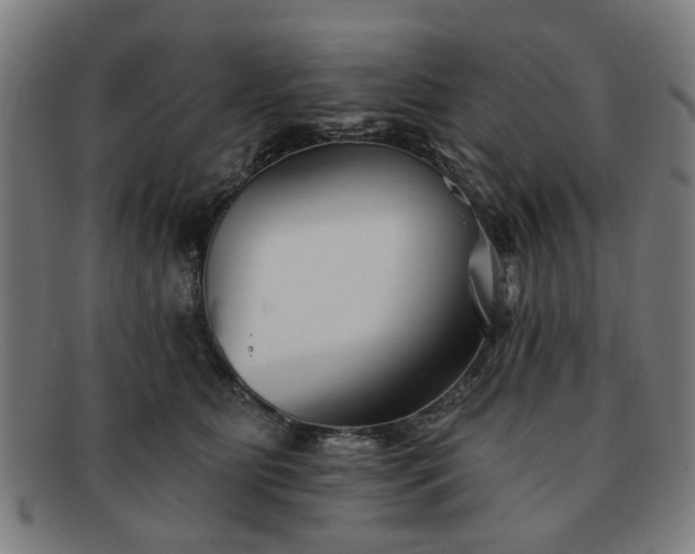 X0000091700515200708311056