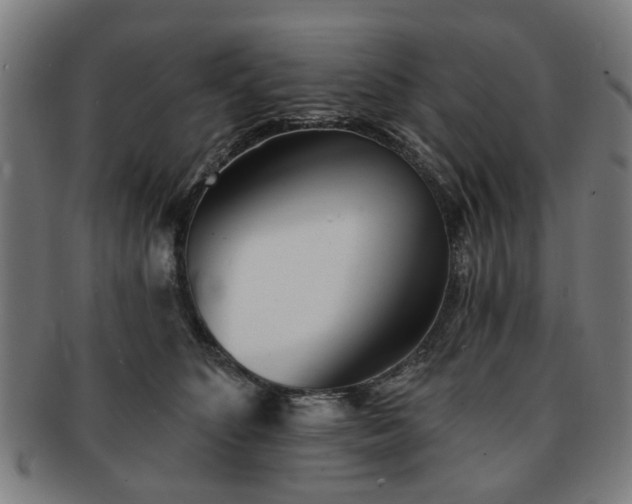 X0000091700516200708311056