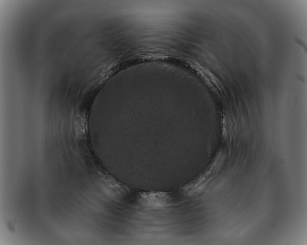 X0000091700517200708311056