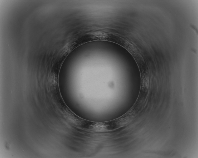 X0000091700518200708311056