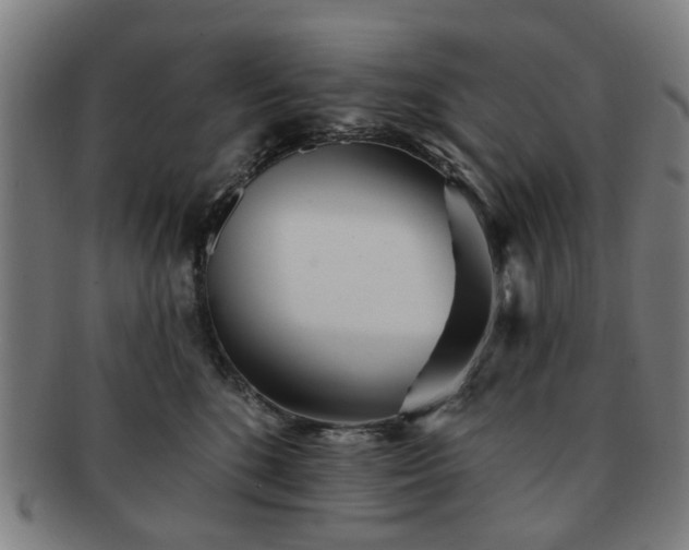X0000091700520200708311056
