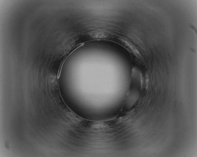 X0000091700521200708311056