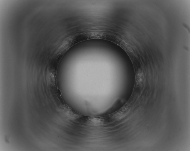 X0000091700522200708311056