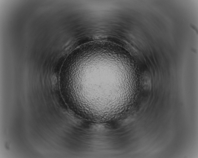 X0000091700523200708311056