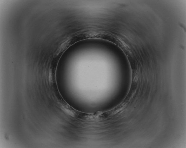 X0000091700524200708311056
