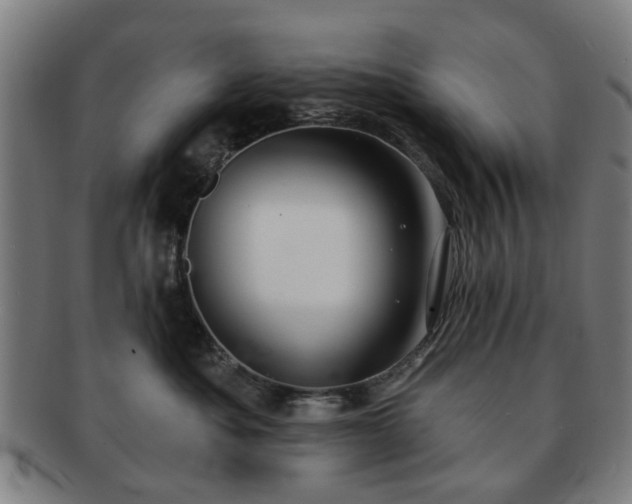 X0000091700525200708311056