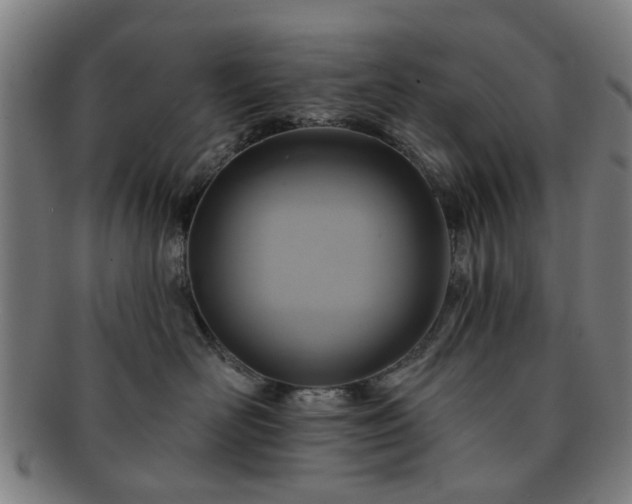 X0000091700526200708311056