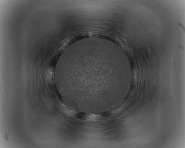 X0000091700527200708311056