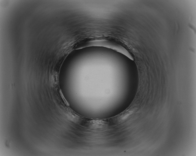 X0000091700528200708311056