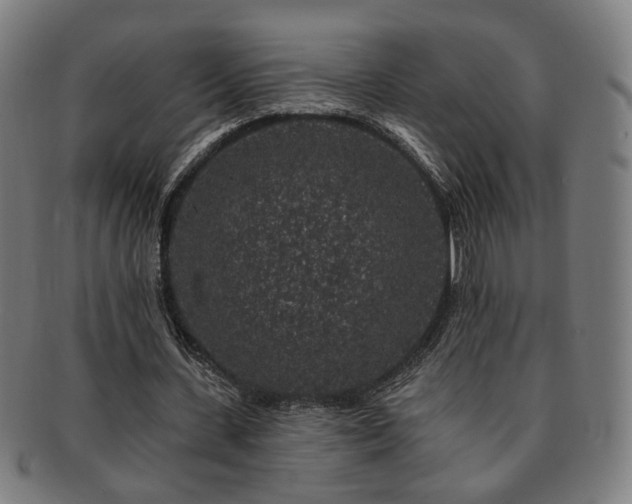 X0000091700531200708311055