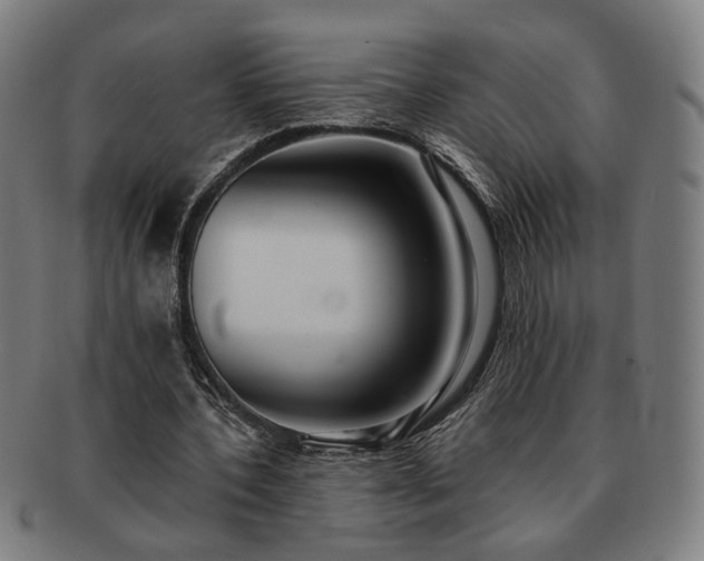 X0000091700532200708311055