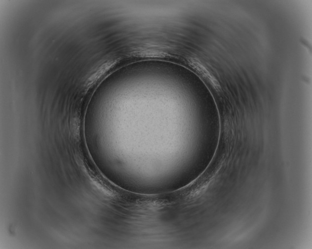 X0000091700533200708311055