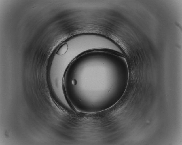 X0000091700534200708311055