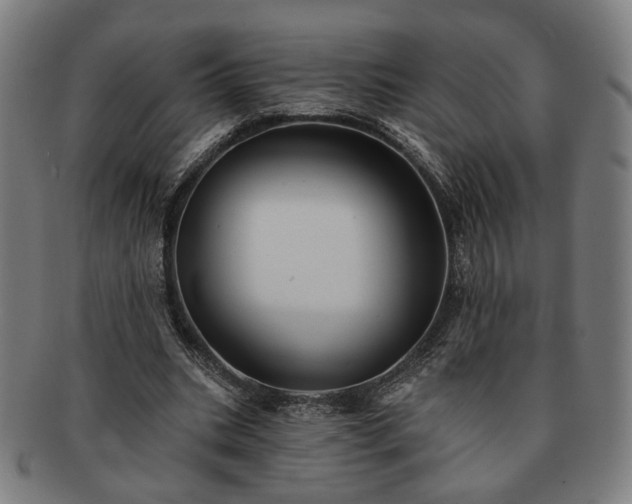 X0000091700535200708311055