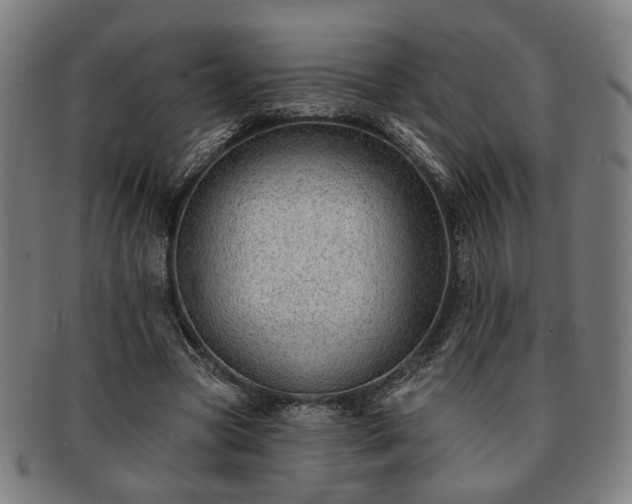 X0000091700537200708311055