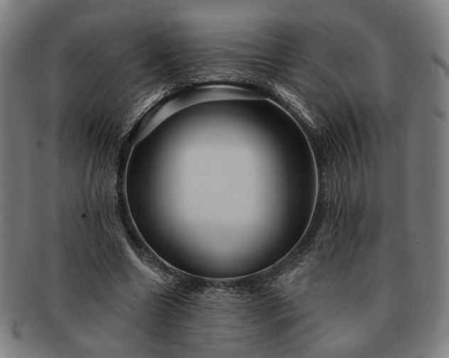 X0000091700538200708311055