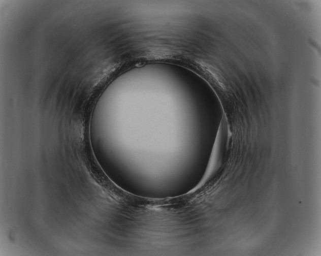 X0000091700539200708311055