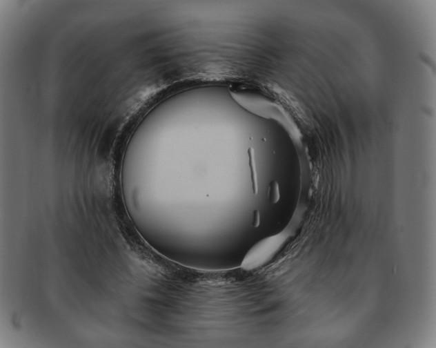 X0000091700540200708311055