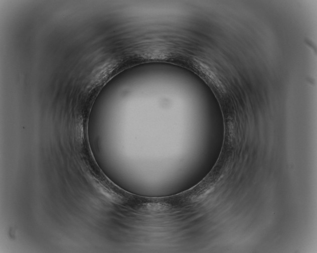 X0000091700541200708311055