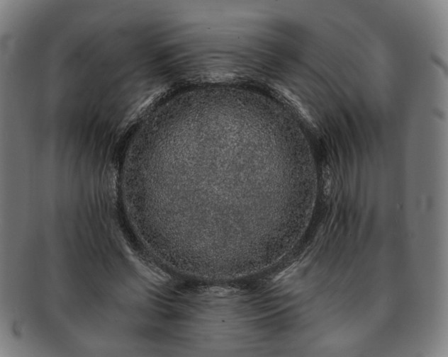 X0000091700542200708311055