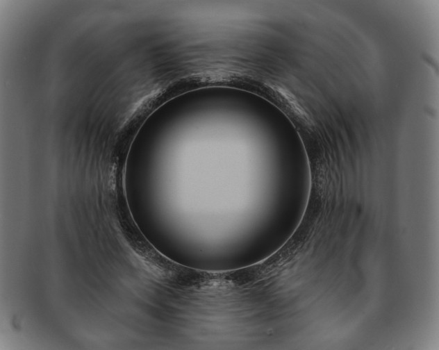 X0000091700543200708311055