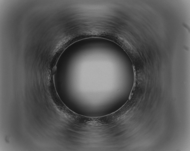 X0000091700544200708311055