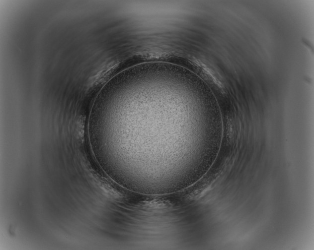 X0000091700545200708311055