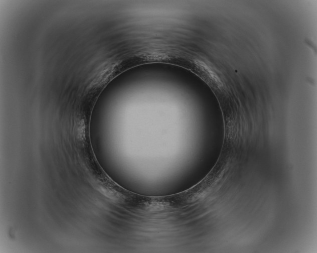 X0000091700549200708311055