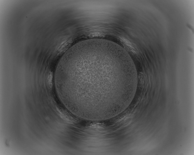 X0000091700550200708311055