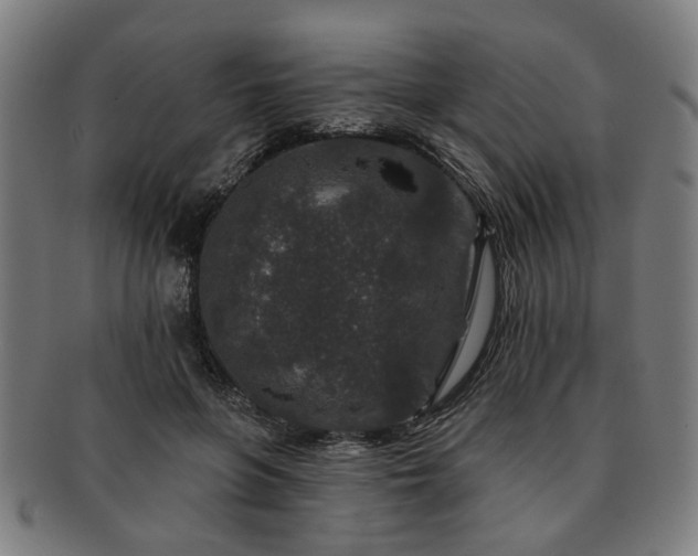 X0000091700551200708311055