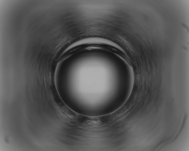 X0000091700552200708311056